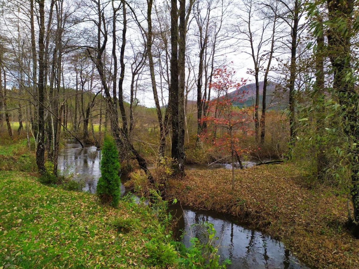 Vodenica Vrelo Chalets Vrelo Koreničko Exterior foto